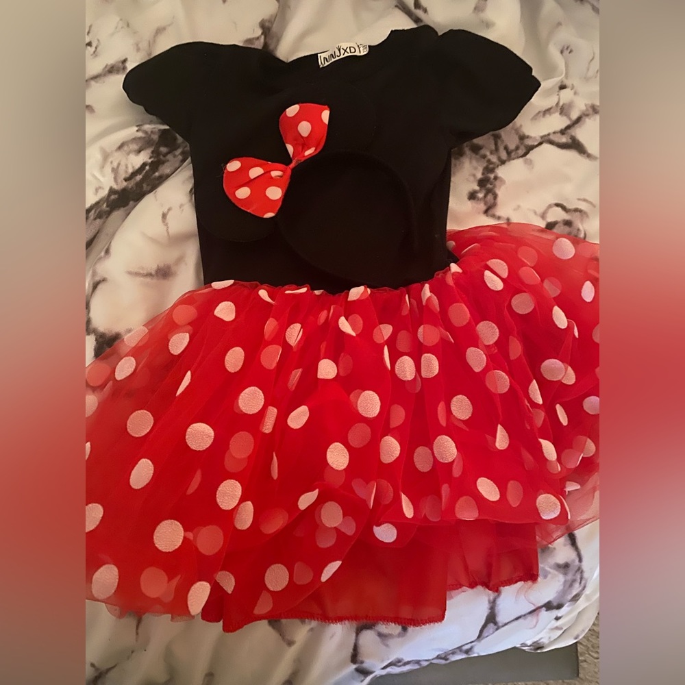 Minnie Mouse Costume
